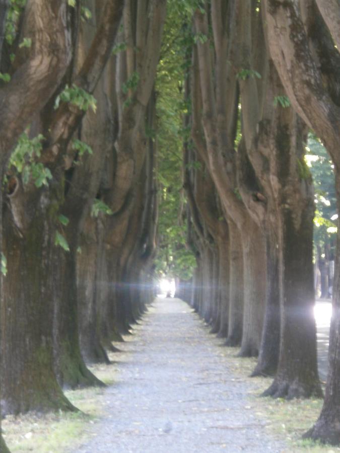 Finca Del Sol ลุคคา ภายนอก รูปภาพ