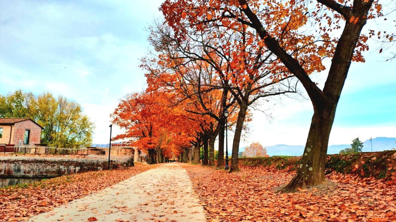 Finca Del Sol ลุคคา ภายนอก รูปภาพ
